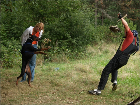 Summer training camp - Jelenec - 2007